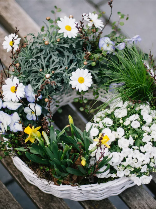 Frühling!