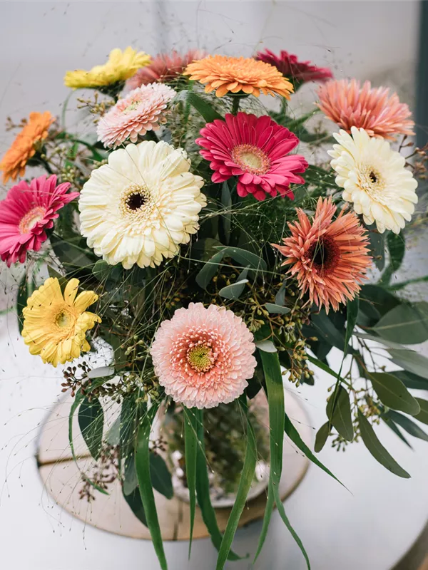 Just Gerbera!