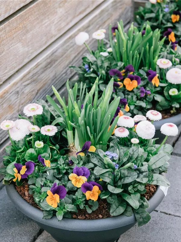 Frühling