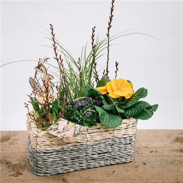 Gepflanztes Arrangement, Osterkorb
