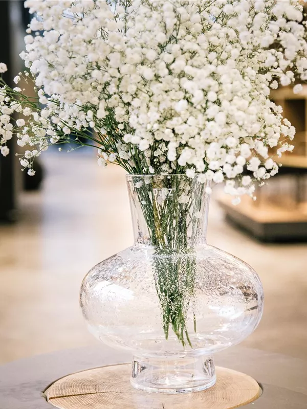 Clearbubbles Modest