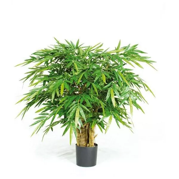 Kunstblume, BUDDHA BAMBUS DELUXE - Blumen-Gaab