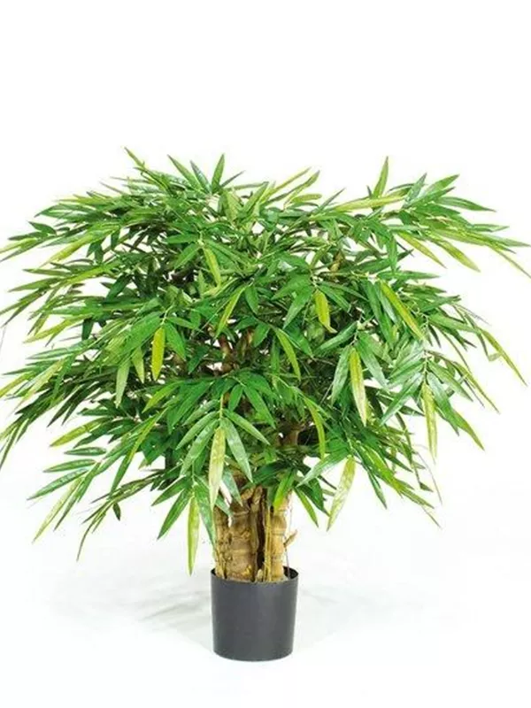 Kunstblume, BUDDHA BAMBUS DELUXE - Blumen-Gaab