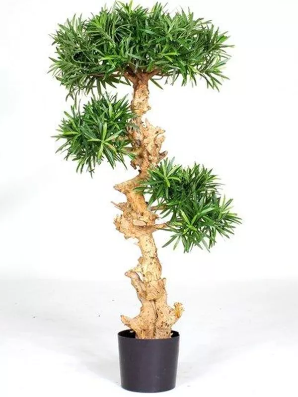 bonsai tree artwork Crimson Autumn Bonsai: Tree Painting | Vertical Wall Art