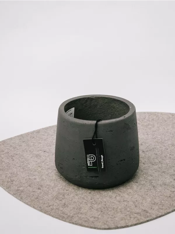 Patt S, Black Washed