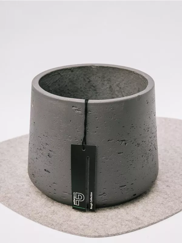 Patt L, Black Washed