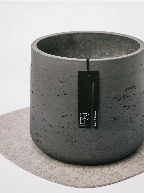 Patt XL, Black Washed
