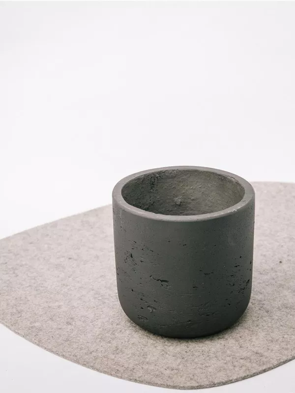 Charlie XS, Black Washed