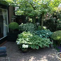 GS615058.jpg