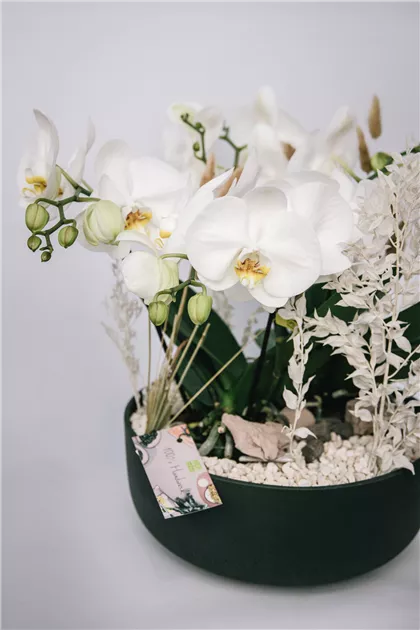 Orchideen in Schale , Vintage green Bowl!