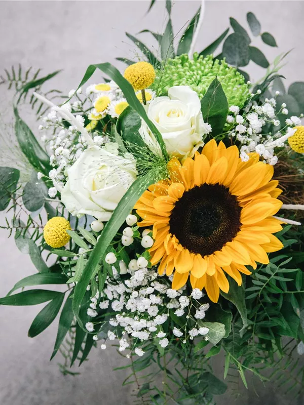 Sunflower!