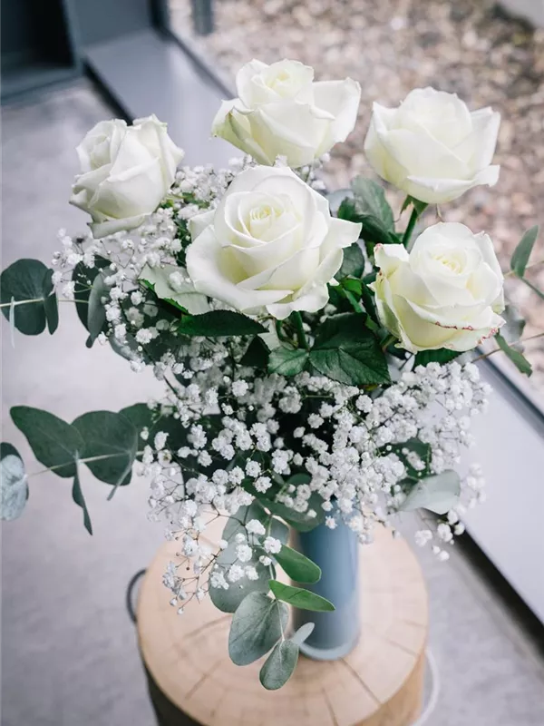 White Love!