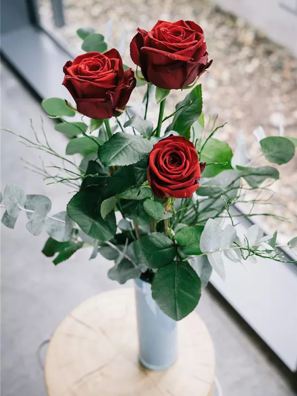 Red Love!