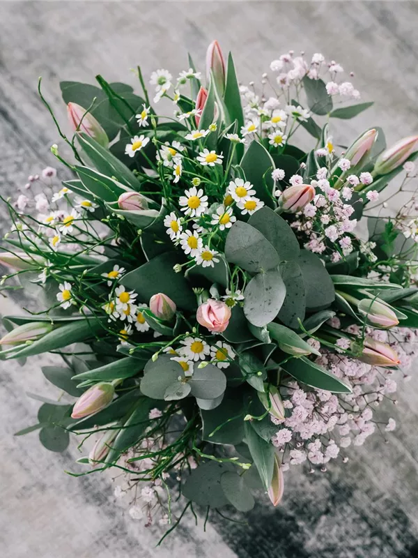 Frühlingshaft frisch!