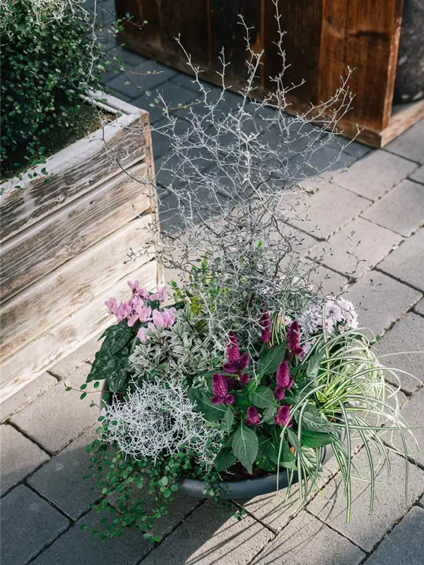 Herbstgeschichten